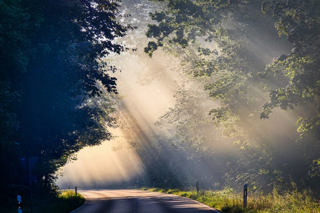 fog, sunbeams, road-4479936.jpg